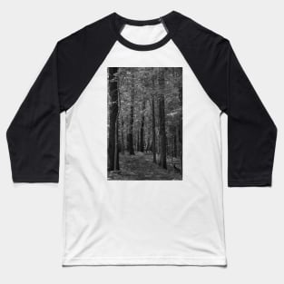 Through the trees Baseball T-Shirt